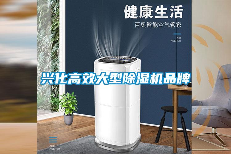 興化高效大型除濕機品牌