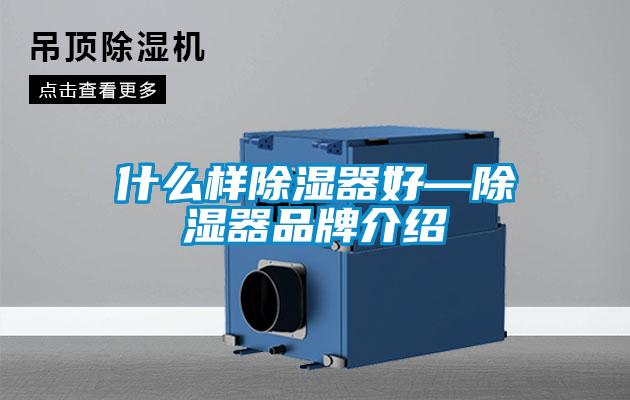 什么樣除濕器好—除濕器品牌介紹