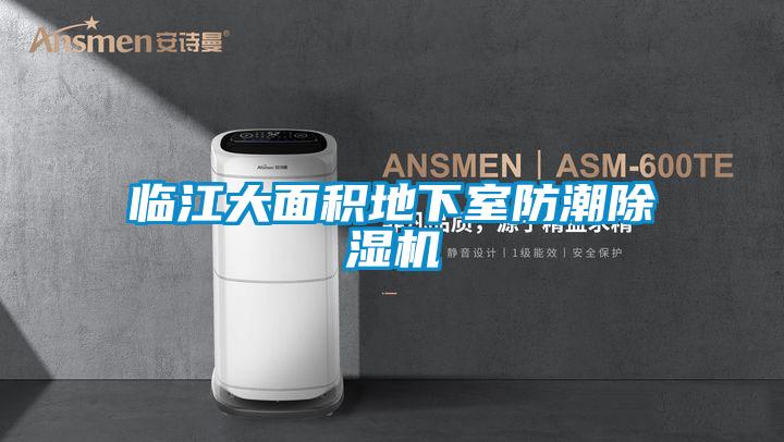 臨江大面積地下室防潮除濕機(jī)