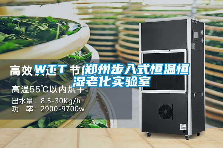 WTT  鄭州步入式恒溫恒濕老化實驗室