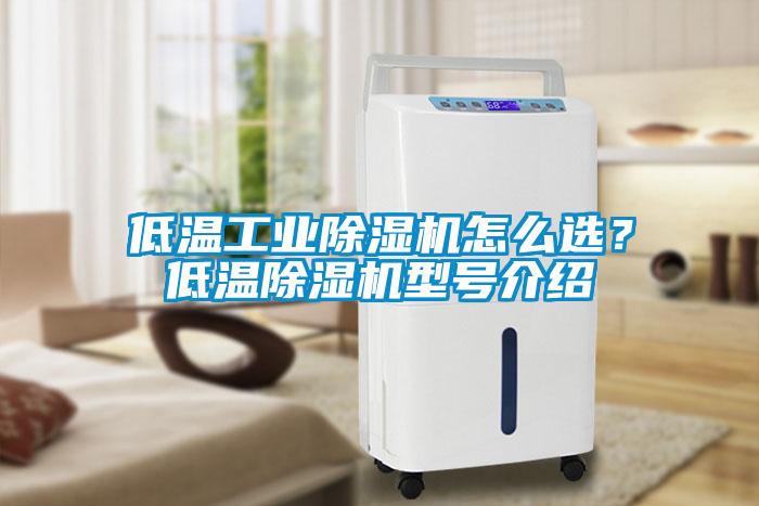 低溫工業除濕機怎么選？低溫除濕機型號介紹