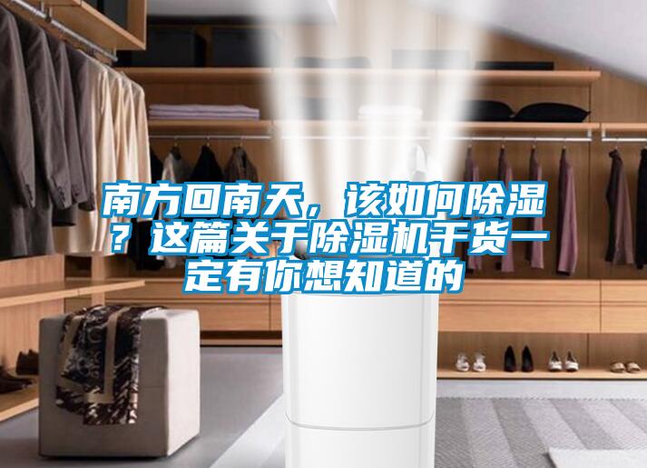 南方回南天，該如何除濕？這篇關(guān)于除濕機(jī)干貨一定有你想知道的