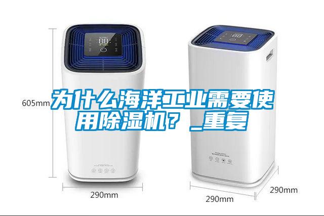 為什么海洋工業需要使用除濕機？_重復