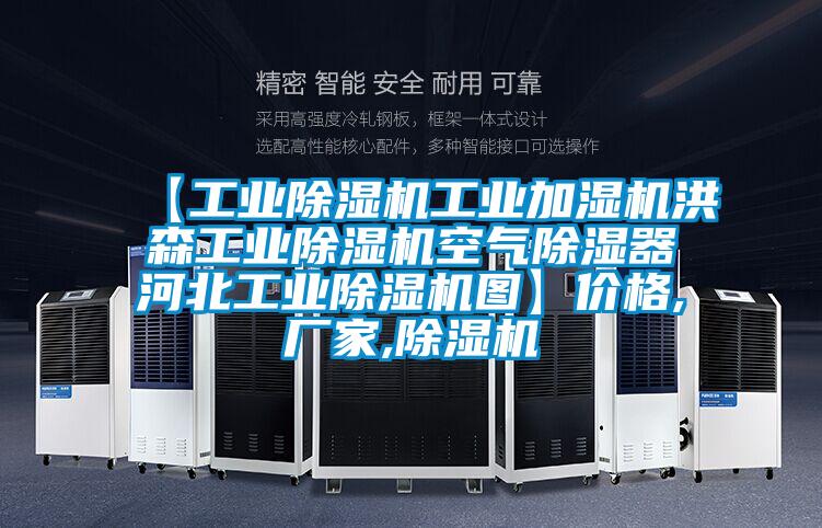 【工業除濕機工業加濕機洪森工業除濕機空氣除濕器河北工業除濕機圖】價格,廠家,除濕機
