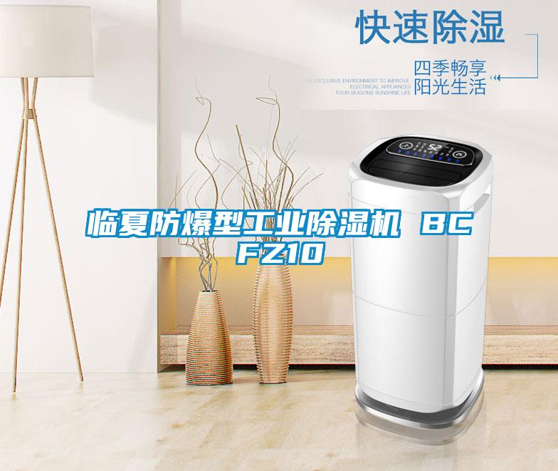 臨夏防爆型工業除濕機 BCFZ10