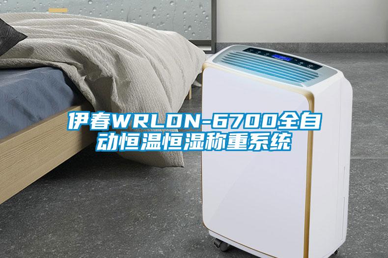 伊春WRLDN-6700全自動恒溫恒濕稱重系統