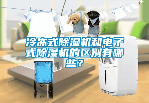 冷凍式除濕機和電子式除濕機的區別有哪些？