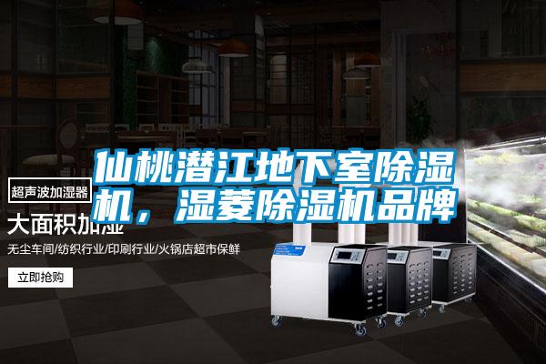 仙桃潛江地下室除濕機(jī)，濕菱除濕機(jī)品牌