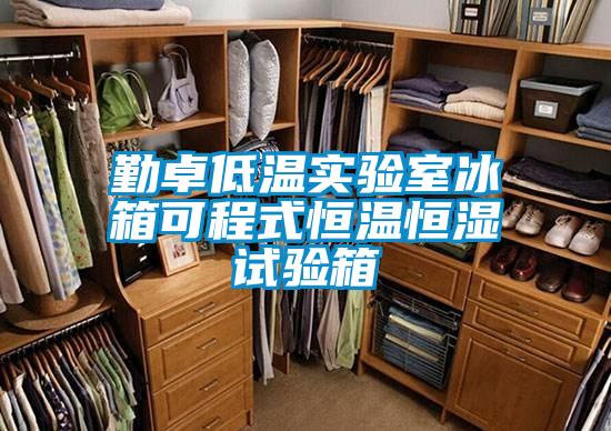 勤卓低溫實驗室冰箱可程式恒溫恒濕試驗箱