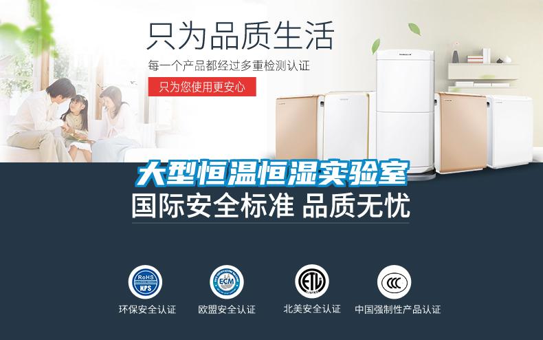 大型恒溫恒濕實驗室