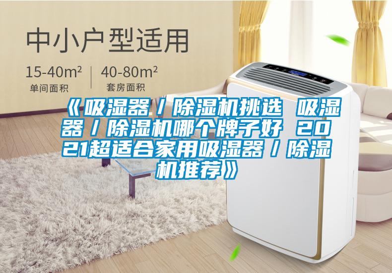 《吸濕器／除濕機挑選 吸濕器／除濕機哪個牌子好 2021超適合家用吸濕器／除濕機推薦》