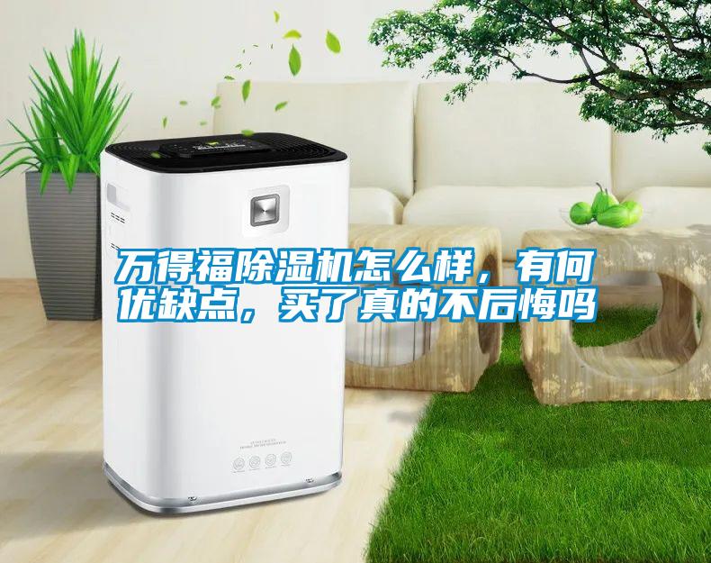 萬得福除濕機怎么樣，有何優缺點，買了真的不后悔嗎