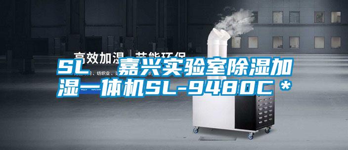 SL  嘉興實(shí)驗(yàn)室除濕加濕一體機(jī)SL-9480C＊