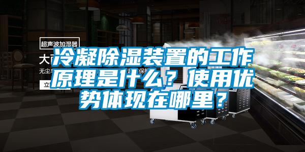 冷凝除濕裝置的工作原理是什么？使用優(yōu)勢(shì)體現(xiàn)在哪里？