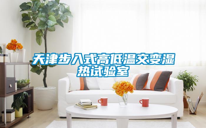 天津步入式高低溫交變濕熱試驗室