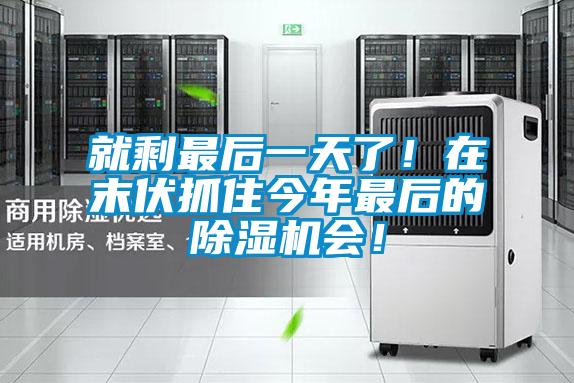 就剩最后一天了！在末伏抓住今年最后的除濕機會！