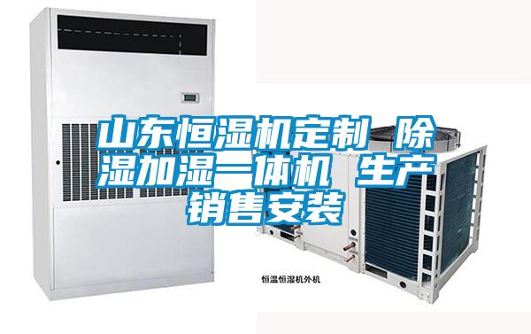 山東恒濕機定制 除濕加濕一體機 生產銷售安裝