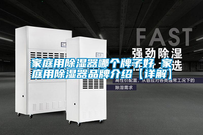 家庭用除濕器哪個牌子好 家庭用除濕器品牌介紹【詳解】