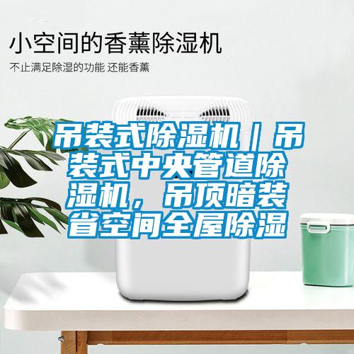 吊裝式除濕機(jī)｜吊裝式中央管道除濕機(jī)，吊頂暗裝省空間全屋除濕