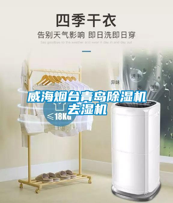 威海煙臺青島除濕機去濕機