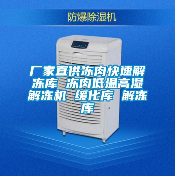 廠家直供凍肉快速解凍庫 凍肉低溫高濕解凍機 緩化庫 解凍庫