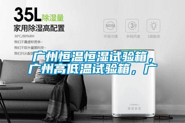廣州恒溫恒濕試驗箱，廣州高低溫試驗箱，廣