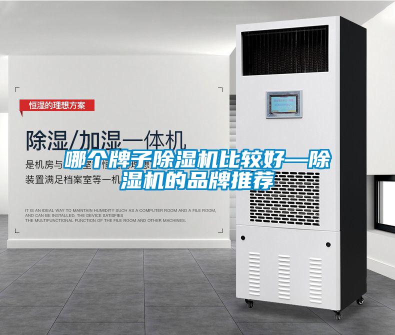哪個牌子除濕機比較好—除濕機的品牌推薦