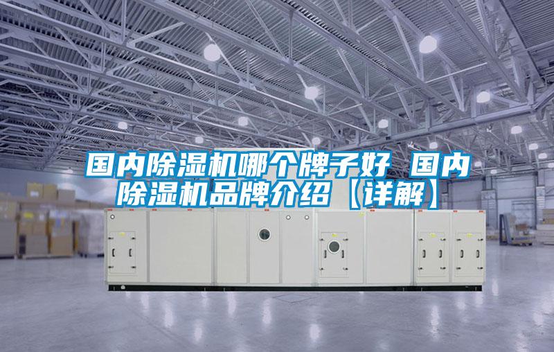 國內除濕機哪個牌子好 國內除濕機品牌介紹【詳解】