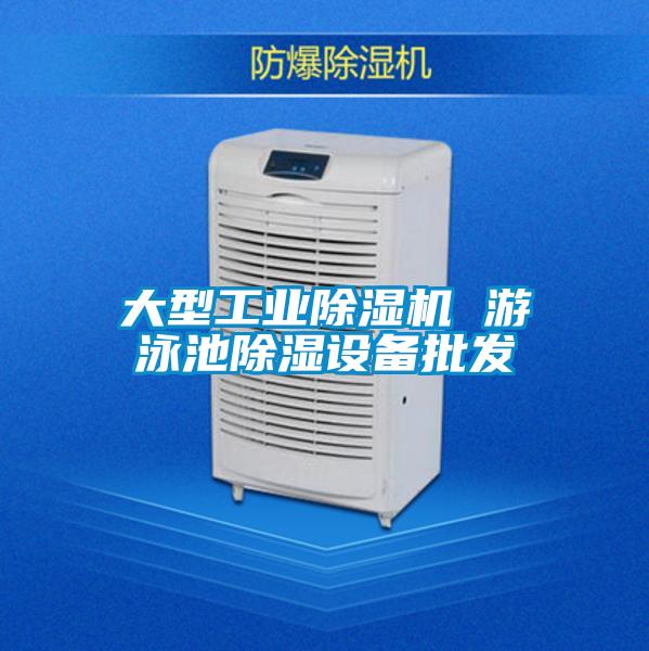 大型工業除濕機 游泳池除濕設備批發