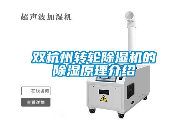 雙杭州轉(zhuǎn)輪除濕機的除濕原理介紹