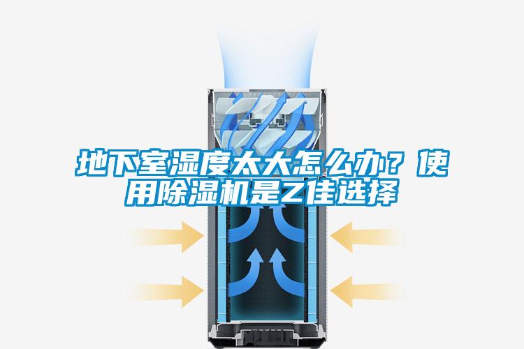 地下室濕度太大怎么辦？使用除濕機是Z佳選擇