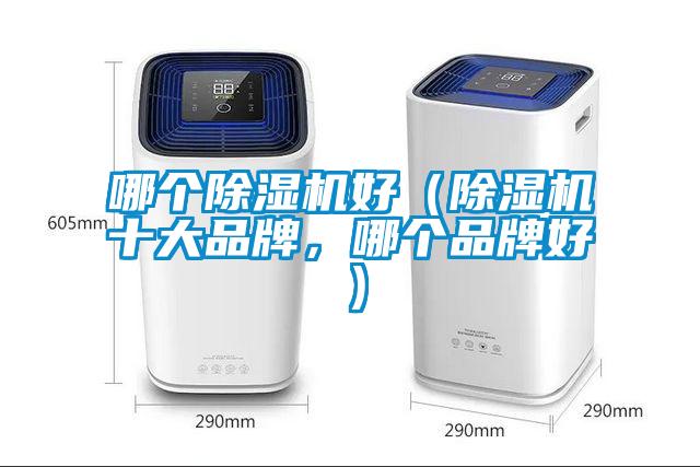 哪個除濕機好（除濕機十大品牌，哪個品牌好）