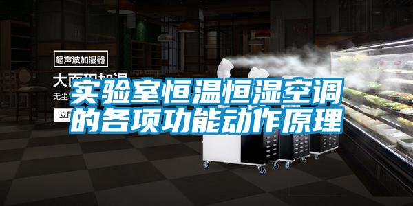 實(shí)驗(yàn)室恒溫恒濕空調(diào)的各項(xiàng)功能動(dòng)作原理