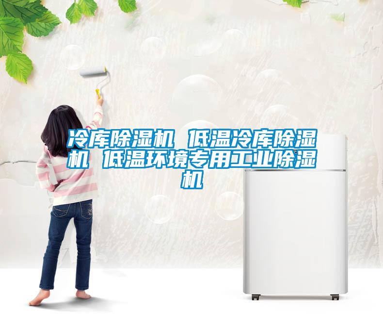 冷庫除濕機 低溫冷庫除濕機 低溫環境專用工業除濕機