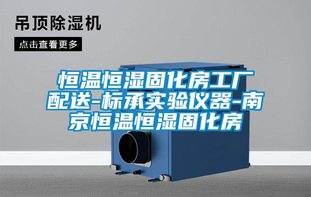 恒溫恒濕固化房工廠配送-標承實驗儀器-南京恒溫恒濕固化房