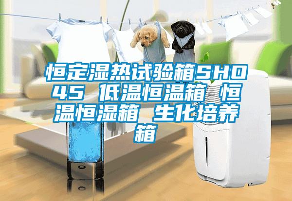 恒定濕熱試驗箱SHO45 低溫恒溫箱 恒溫恒濕箱 生化培養箱