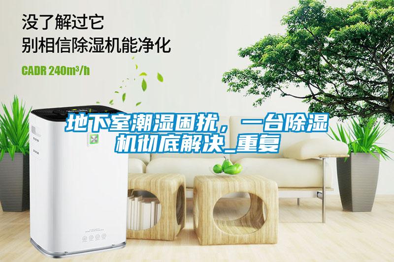 地下室潮濕困擾，一臺除濕機徹底解決_重復