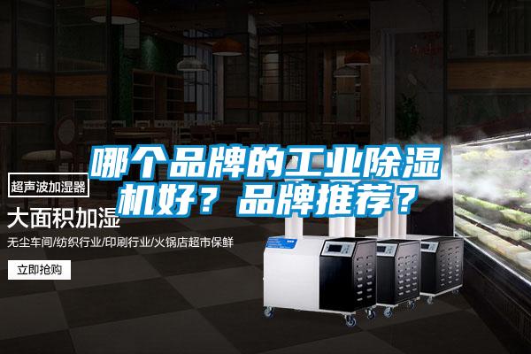 哪個品牌的工業(yè)除濕機好？品牌推薦？