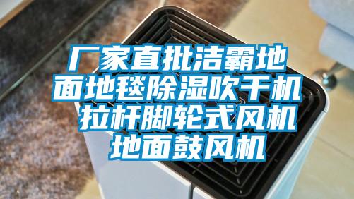 廠家直批潔霸地面地毯除濕吹干機 拉桿腳輪式風機 地面鼓風機