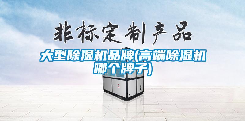 大型除濕機品牌(高端除濕機哪個牌子)