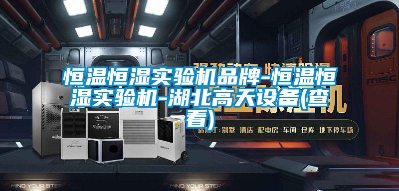 恒溫恒濕實驗機品牌-恒溫恒濕實驗機-湖北高天設備(查看)