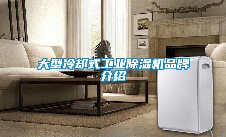 大型冷卻式工業除濕機品牌介紹