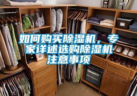 如何購買除濕機，專家詳述選購除濕機注意事項