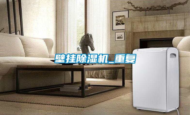 壁掛除濕機_重復