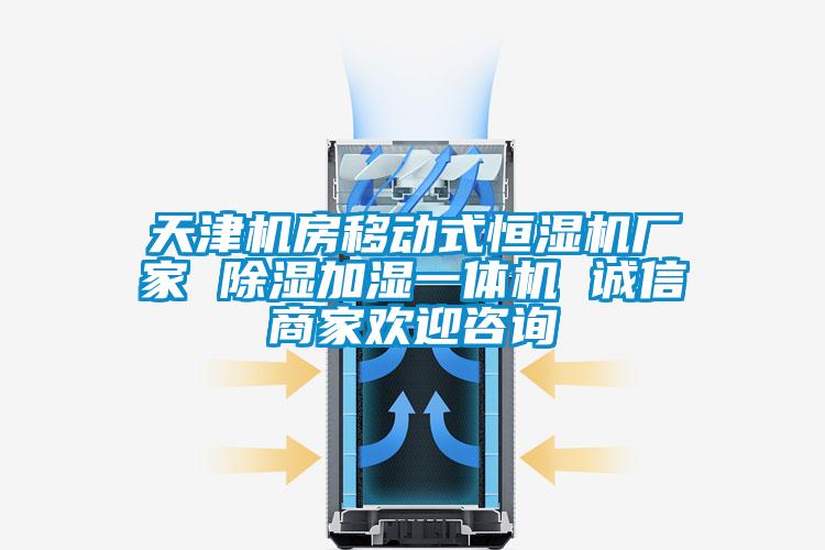 天津機(jī)房移動(dòng)式恒濕機(jī)廠家 除濕加濕一體機(jī) 誠信商家歡迎咨詢
