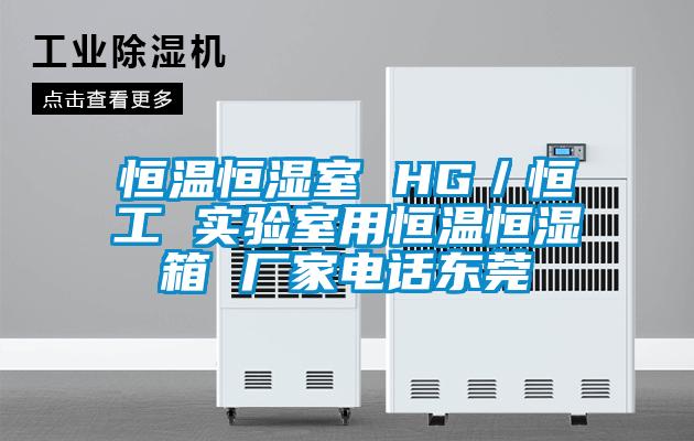恒溫恒濕室 HG／恒工 實驗室用恒溫恒濕箱 廠家電話東莞