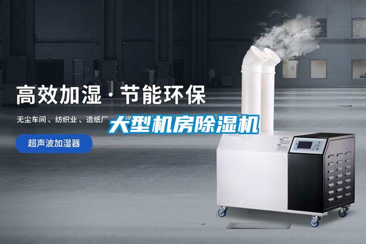 大型機(jī)房除濕機(jī)