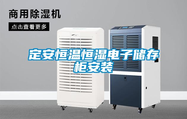 定安恒溫恒濕電子儲存柜安裝