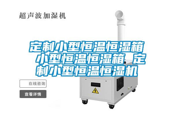 定制小型恒溫恒濕箱 小型恒溫恒濕箱 定制小型恒溫恒濕機
