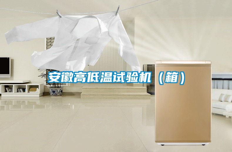 安徽高低溫試驗機（箱）